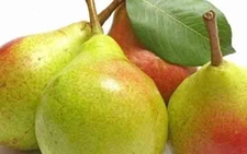 Armut Tohumu Türleri ve Özellikleri