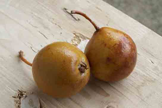 Armut Turşusu Tarifi ve Malzemeleri